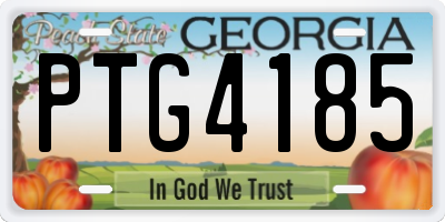 GA license plate PTG4185