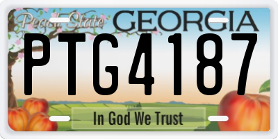 GA license plate PTG4187
