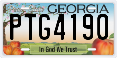 GA license plate PTG4190