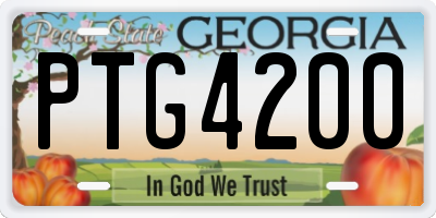 GA license plate PTG4200
