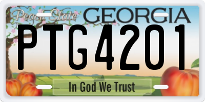 GA license plate PTG4201