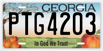 GA license plate PTG4203