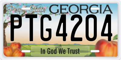 GA license plate PTG4204