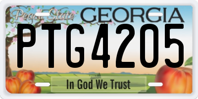 GA license plate PTG4205