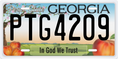 GA license plate PTG4209