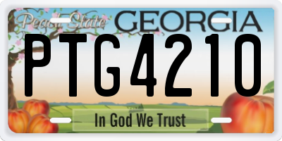 GA license plate PTG4210