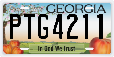 GA license plate PTG4211