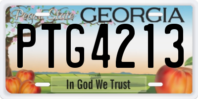 GA license plate PTG4213