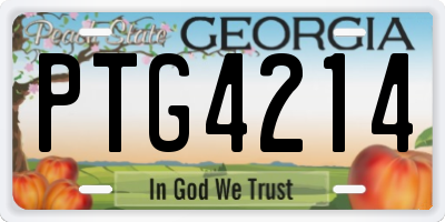 GA license plate PTG4214