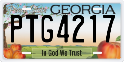 GA license plate PTG4217