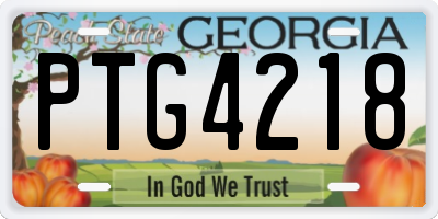 GA license plate PTG4218