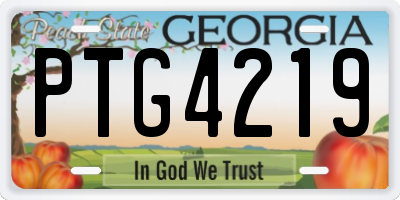 GA license plate PTG4219