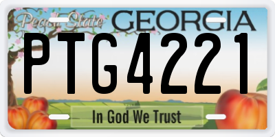 GA license plate PTG4221