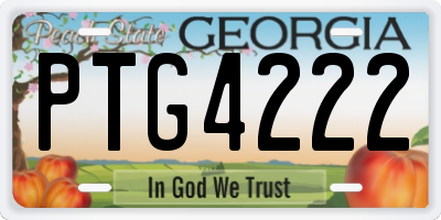 GA license plate PTG4222