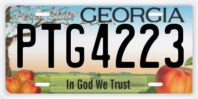 GA license plate PTG4223
