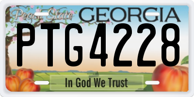 GA license plate PTG4228