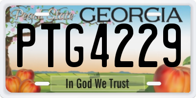 GA license plate PTG4229