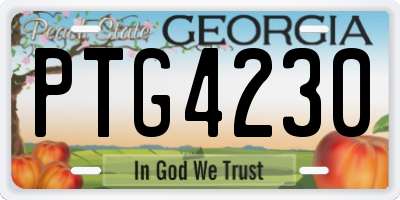 GA license plate PTG4230
