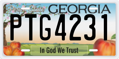 GA license plate PTG4231
