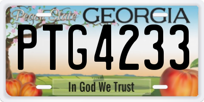 GA license plate PTG4233