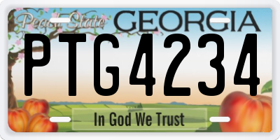 GA license plate PTG4234