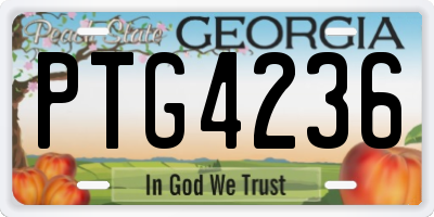 GA license plate PTG4236