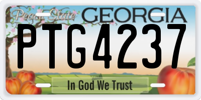 GA license plate PTG4237