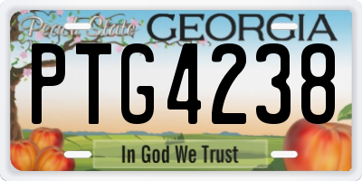 GA license plate PTG4238