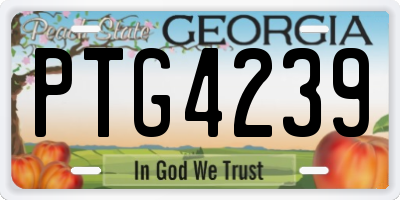 GA license plate PTG4239