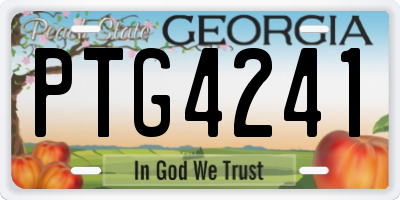 GA license plate PTG4241