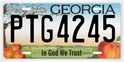 GA license plate PTG4245