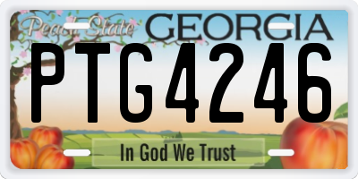 GA license plate PTG4246