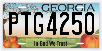GA license plate PTG4250