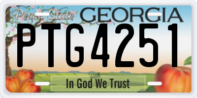 GA license plate PTG4251