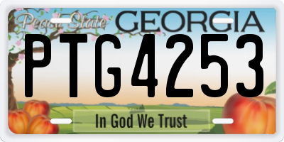 GA license plate PTG4253