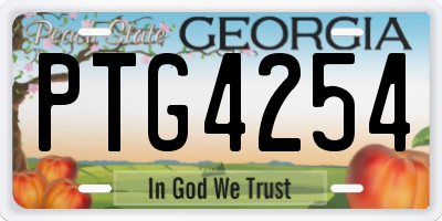GA license plate PTG4254