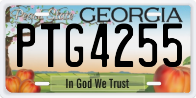 GA license plate PTG4255