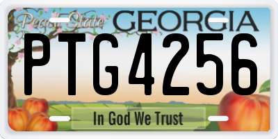 GA license plate PTG4256