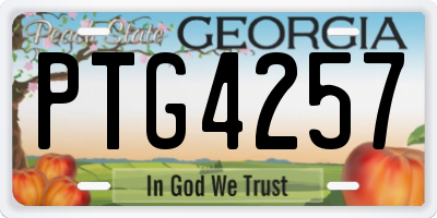 GA license plate PTG4257