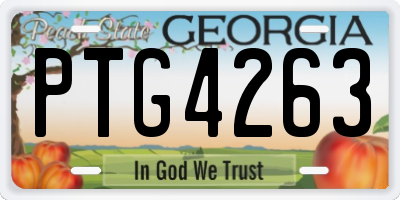 GA license plate PTG4263