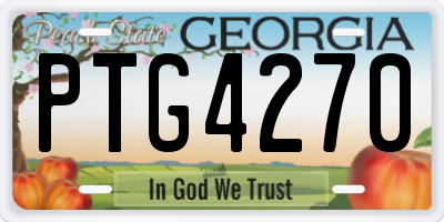 GA license plate PTG4270