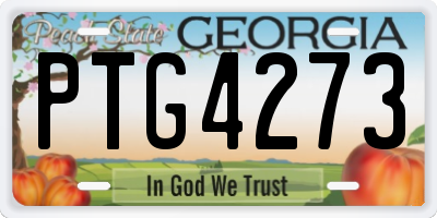 GA license plate PTG4273