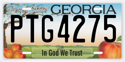 GA license plate PTG4275