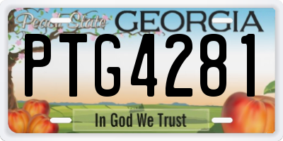 GA license plate PTG4281