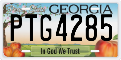 GA license plate PTG4285