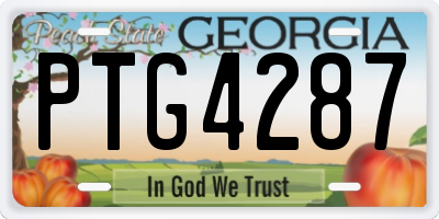 GA license plate PTG4287