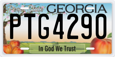 GA license plate PTG4290