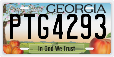 GA license plate PTG4293