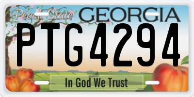 GA license plate PTG4294