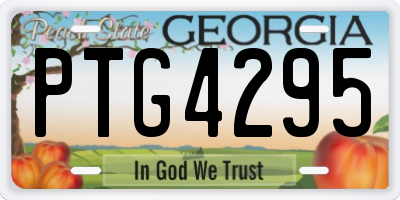 GA license plate PTG4295